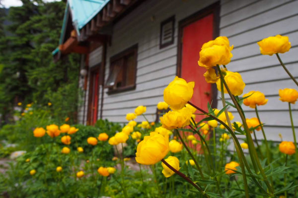 カナディアンロッキー