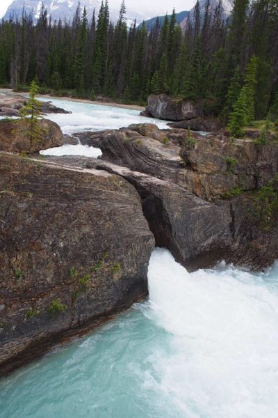 ナチュラルブリッジ