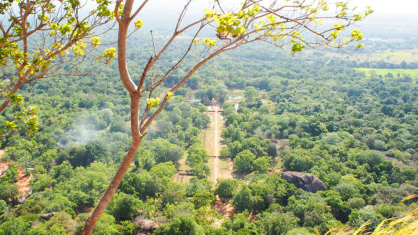 シーギリヤの頂上