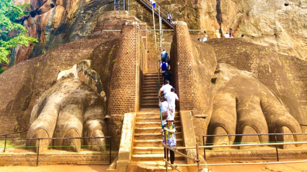 ライオンテラス