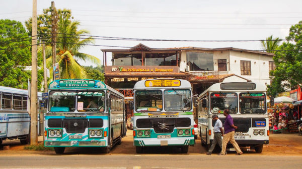 ピンナワラ象の孤児院