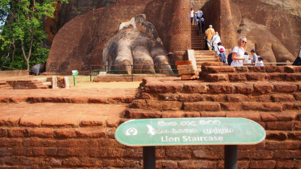 ライオンテラス