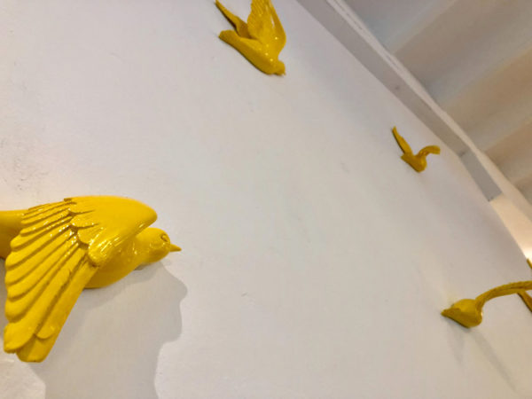 アーリーバード