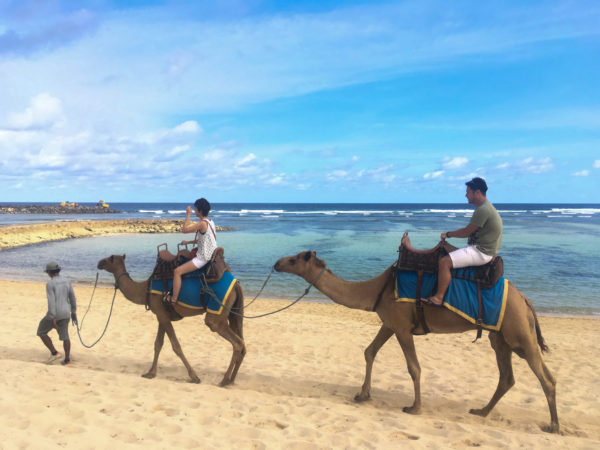 キャメルライド