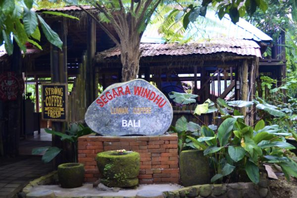 コピ・ルアック