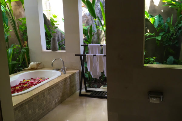 バリ ハネムーン