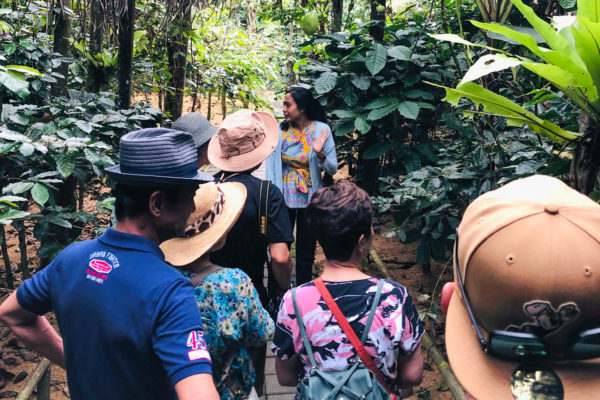 大人の社会科見学