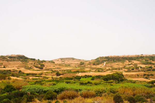 バスからの景色