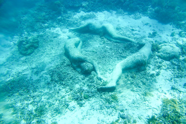 ギリ島 シュノーケル