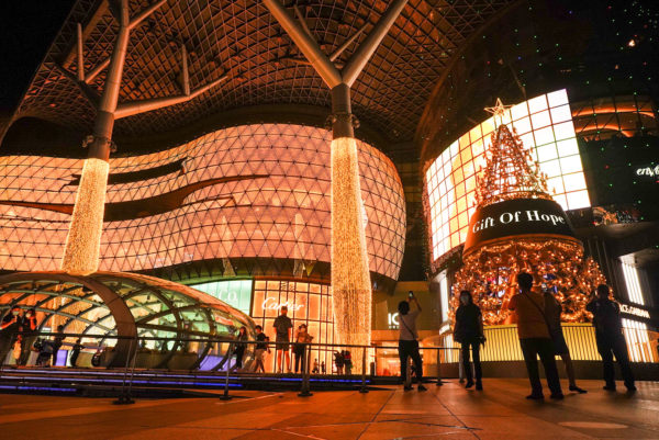 オーチャードのツリー