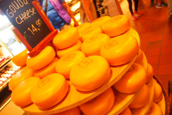 オランダ チーズ工房