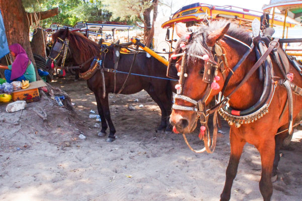 ギリ島の交通手段
