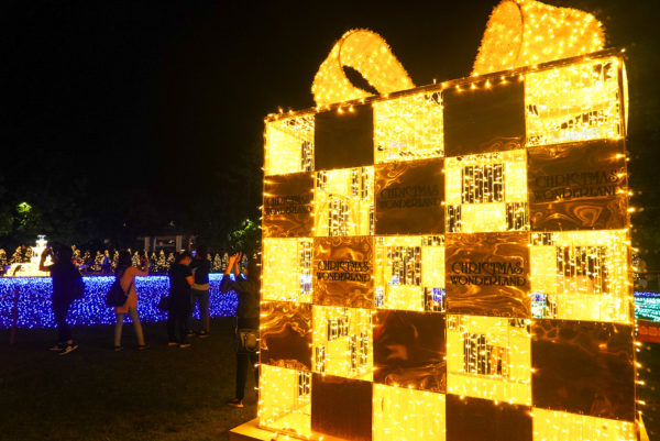 ガーデンズバイザベイ ライトアップ