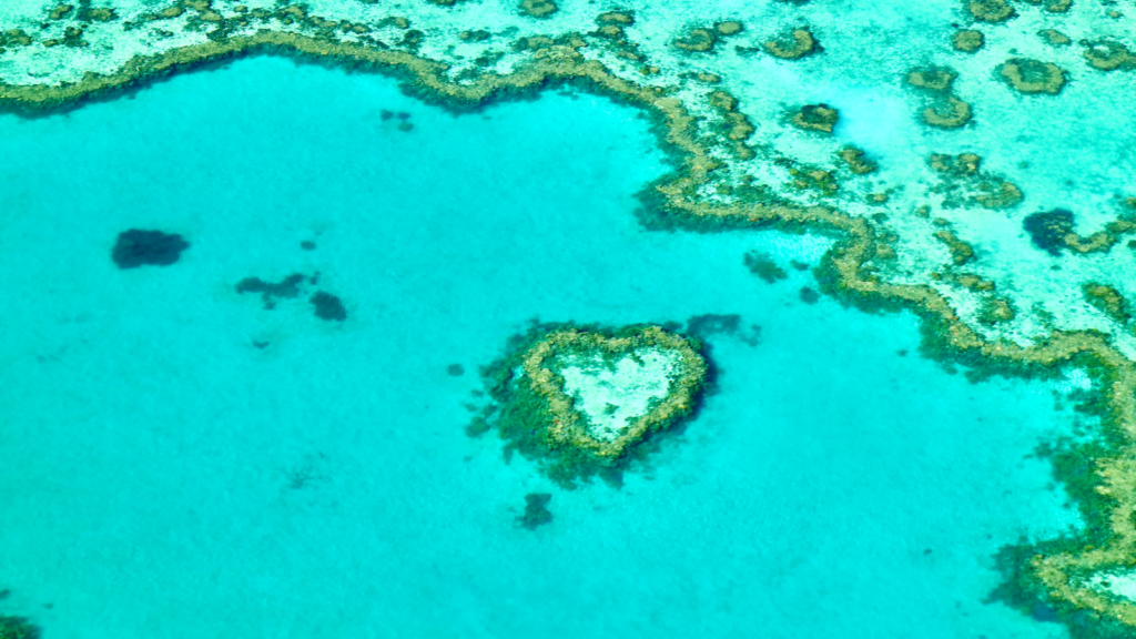 ハミルトン島 ツアー