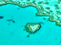 ハミルトン島 ツアー