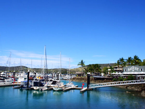 ハミルトン ハーバー