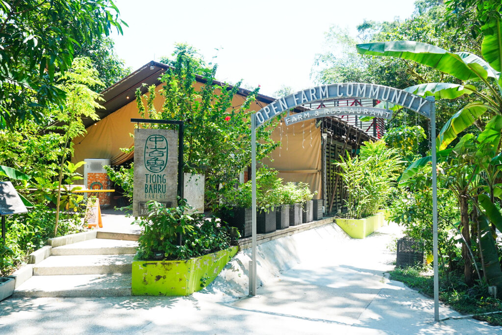 チョンバルベーカリーサファリ